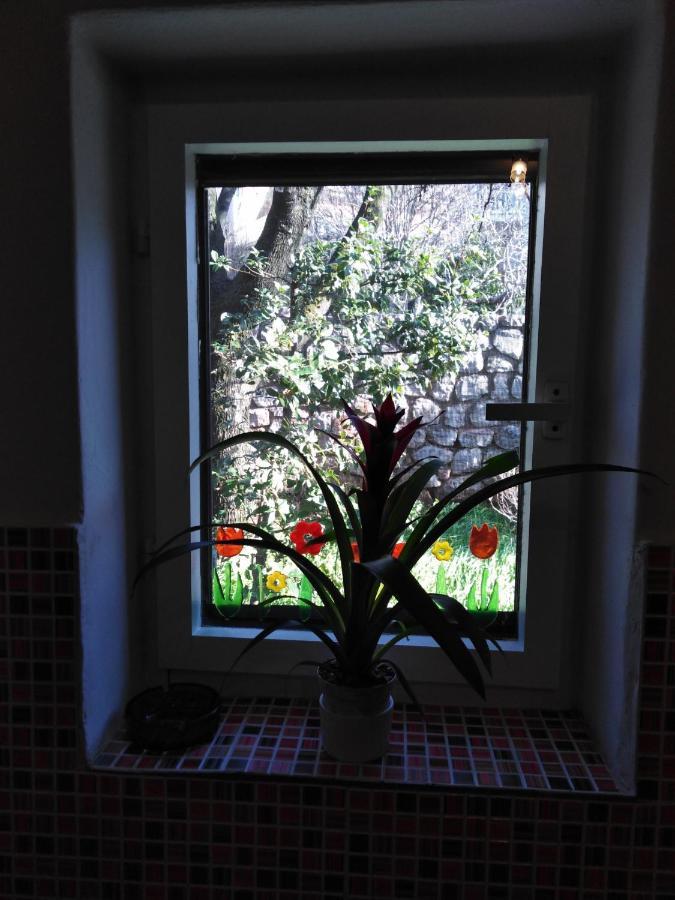 Apartman Mimi كلينوفيتسا المظهر الخارجي الصورة